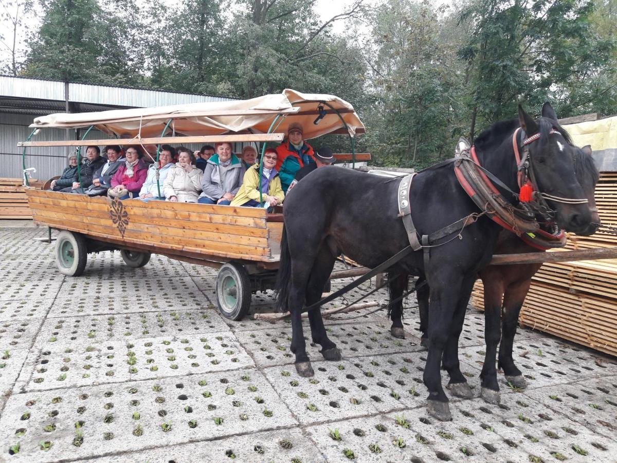 Agroturystyka U Misia Niedźwiedź Εξωτερικό φωτογραφία